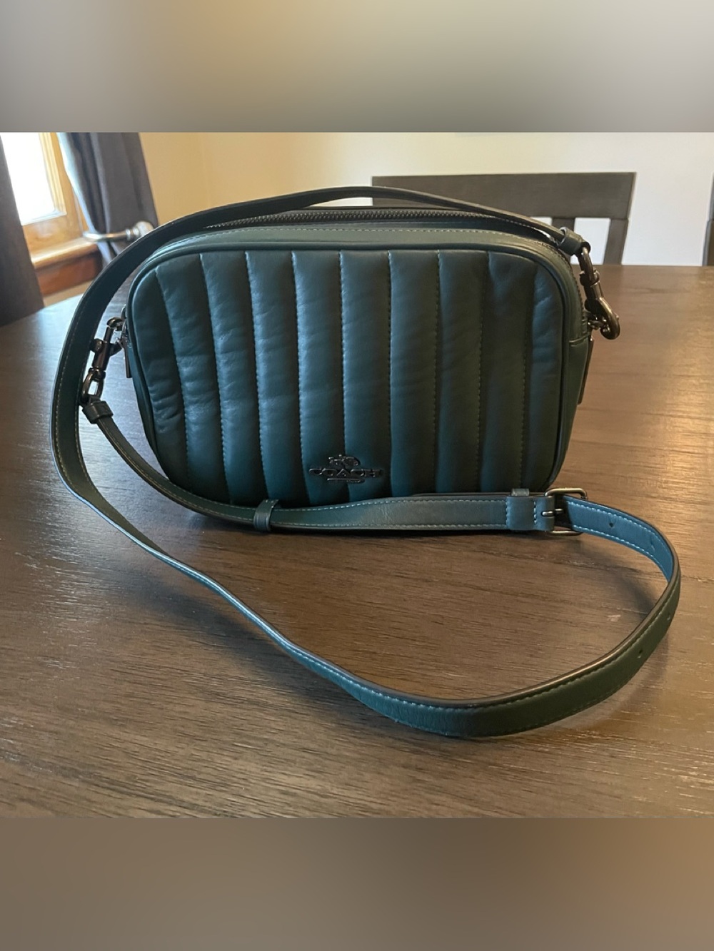 Coach Jes Puffy quilted Crossbody bag with begun metal